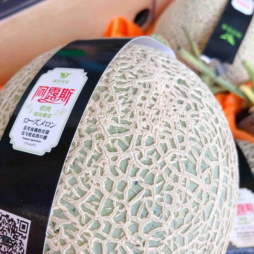 【网纹瓜】日本阿露斯网纹瓜品种,软糯香甜,细腻多汁软绵甜美多汁非常