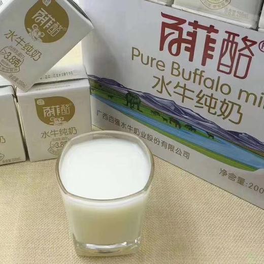 【百菲诺纯水牛奶】高品质水牛奶