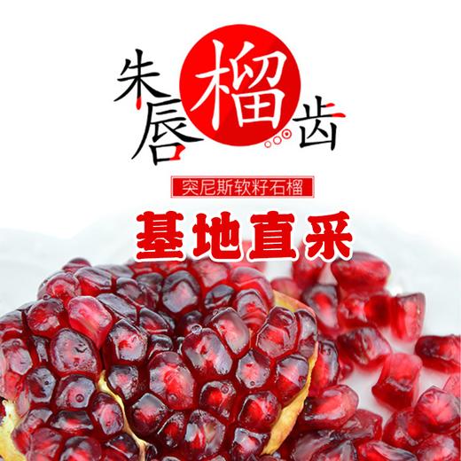 (大果珍品)石榴之乡 四川大凉山会理软籽石榴 皮薄 籽软 一口爆汁
