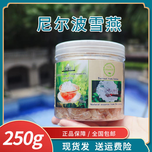 现货尼泊尔雪燕as级植物燕窝玻尿酸杂质少白透颗粒大特级250g