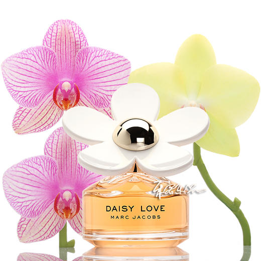 莫杰雏菊挚爱女士淡香水marcjacobsdaisylove小样正装