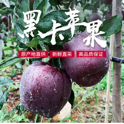 黑钻苹果新鲜黑卡苹果黑苹果不常见的水果没见过的水果稀有水果