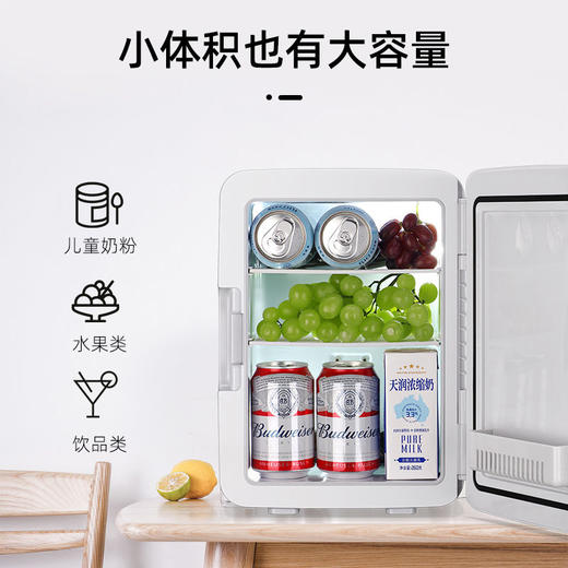 sast12l小冰箱迷你冰箱小型微型宿舍车载家两用母乳水果多用功能