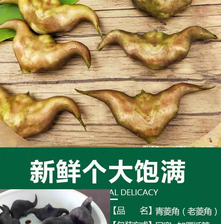 洪湖菱角新鲜老菱角湖北特产野生现摘青菱角莲果带壳1斤2斤3斤5斤