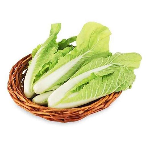 水白菜斤500g