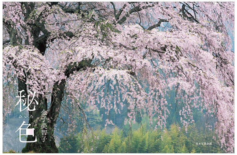 秘色,自然风景中的日本传统色:秘色 摄影集