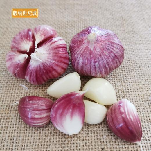 【bn】大红蒜 约250g~270g/份