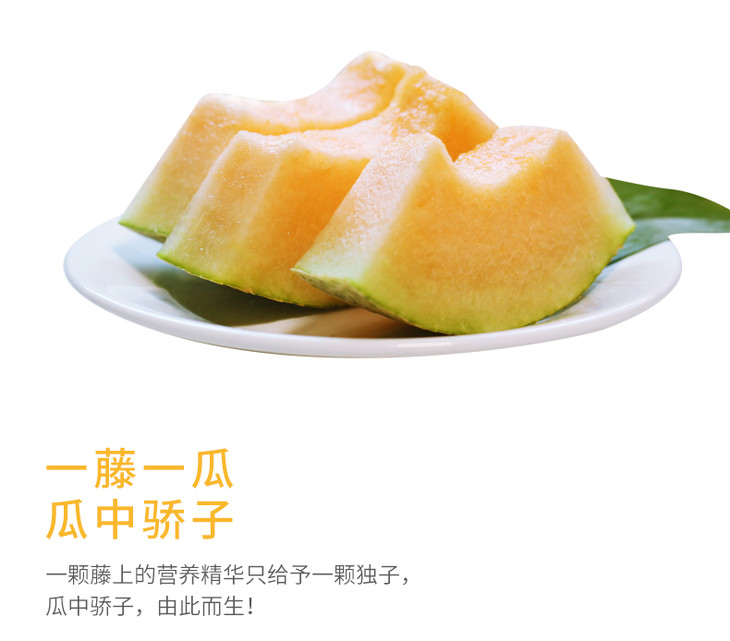 都知果蜜瓜皮薄肉厚香甜爽口