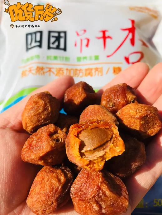 【2袋】四团惠民 吊干杏500g/袋新疆阿克苏四团天然晒甜杏干肉厚酸甜