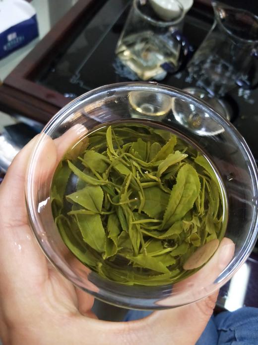 二级白毫青茶丨纯福利款丨正统北方绿茶满满的豌豆香不苦不涩