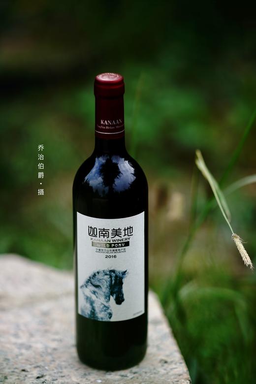 迦南美地小野马干红葡萄酒750ml赤霞珠美乐与蛇龙珠混酿