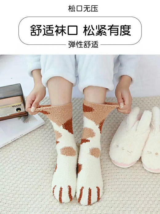 珊瑚绒猫爪袜