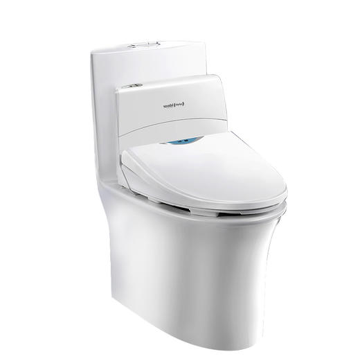 idear地尔水疗马桶经济舱家用灌肠通便养生智能马桶盖通用坐便器