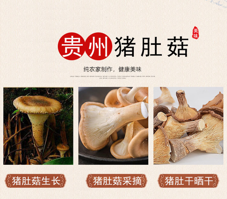 农品优选雷阿哥贵州特产猪肚菇干货120g