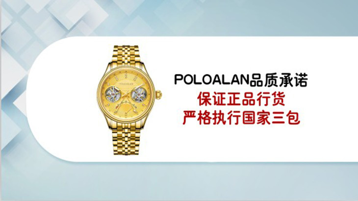 poloalan典藏双飞轮机械腕表