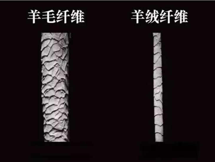 feishe纯色羊绒衫 来自内蒙古草原的"黄金纤维,柔软暖糯