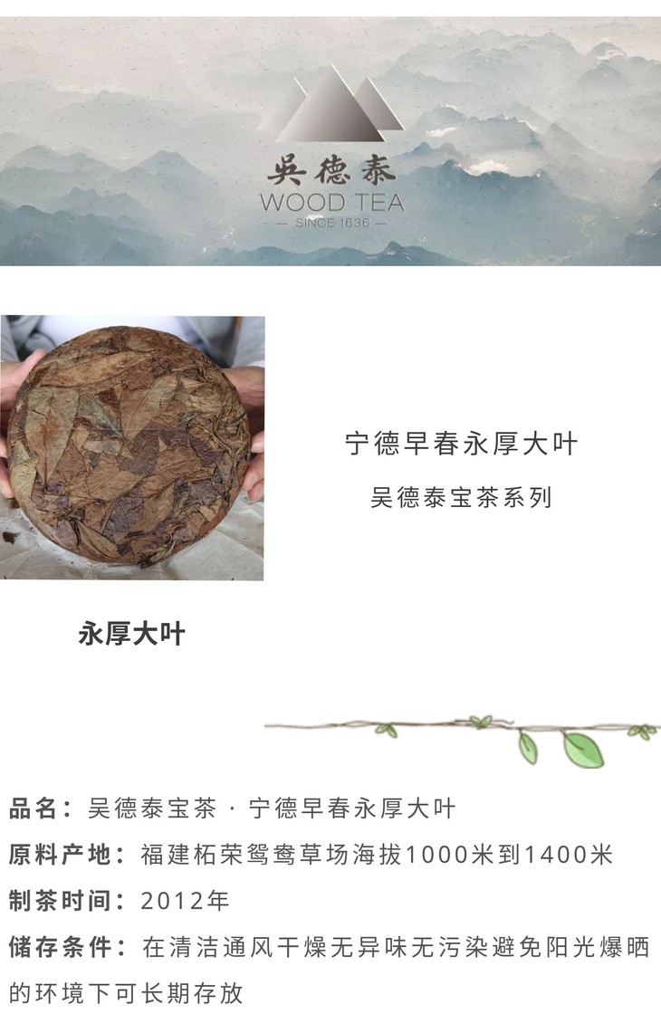 吴德泰宝茶 · 宁德早春永厚大叶 - 吴德泰茶庄