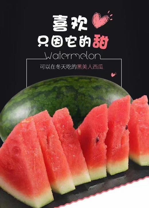 黑美人西瓜