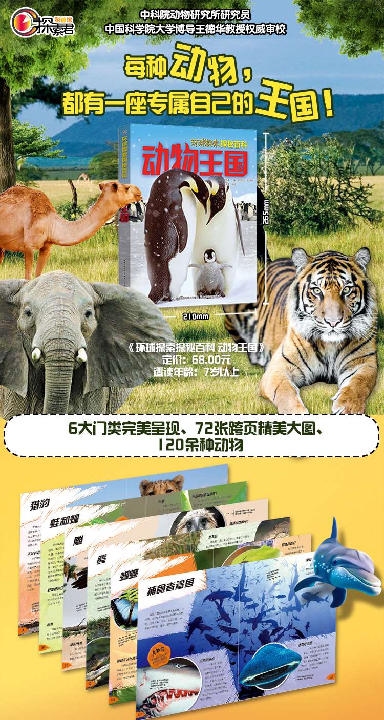discovery环球探索探秘百科动物王国