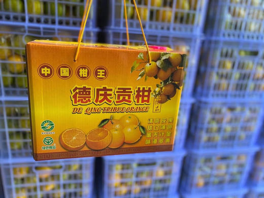 广西武鸣皇帝柑