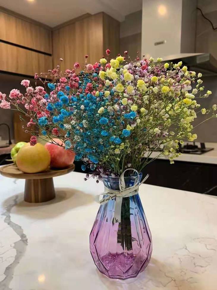 七彩满天星鲜花上市,客厅室内装饰花 花瓶仅售39.9元