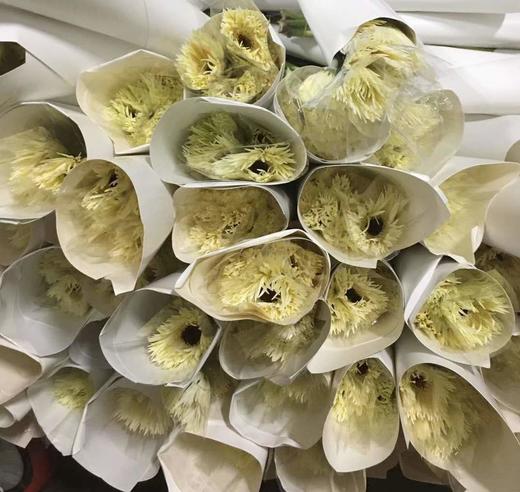 dxf拉丝非洲菊白色10支装防损耗