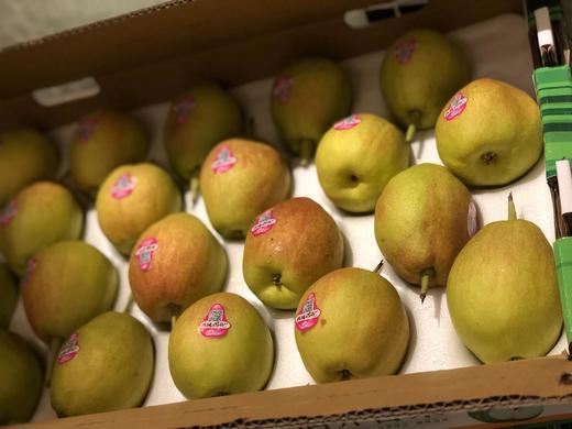 当季最新鲜丨特选大果梨城新疆库尔勒香梨全母梨子水果新鲜整箱20个约
