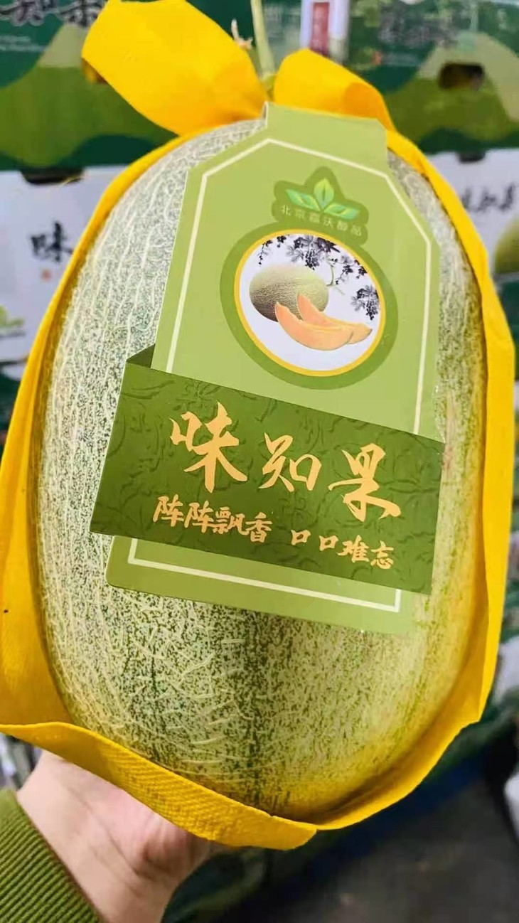 味知果蜜瓜约4枚箱包邮偏甜脆