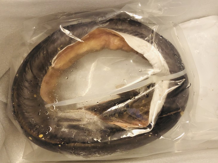 象山风鳗鳗鱼鲞 肉质丰满 鲜咸合一 不腥不腻