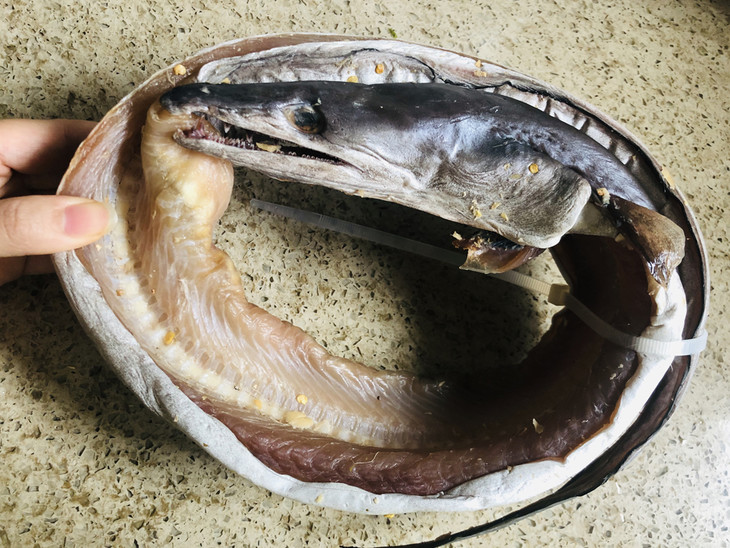 2021石浦风鳗鳗鱼鲞黄鱼鲞虾皮海鲜干货下饭夏日百搭海味
