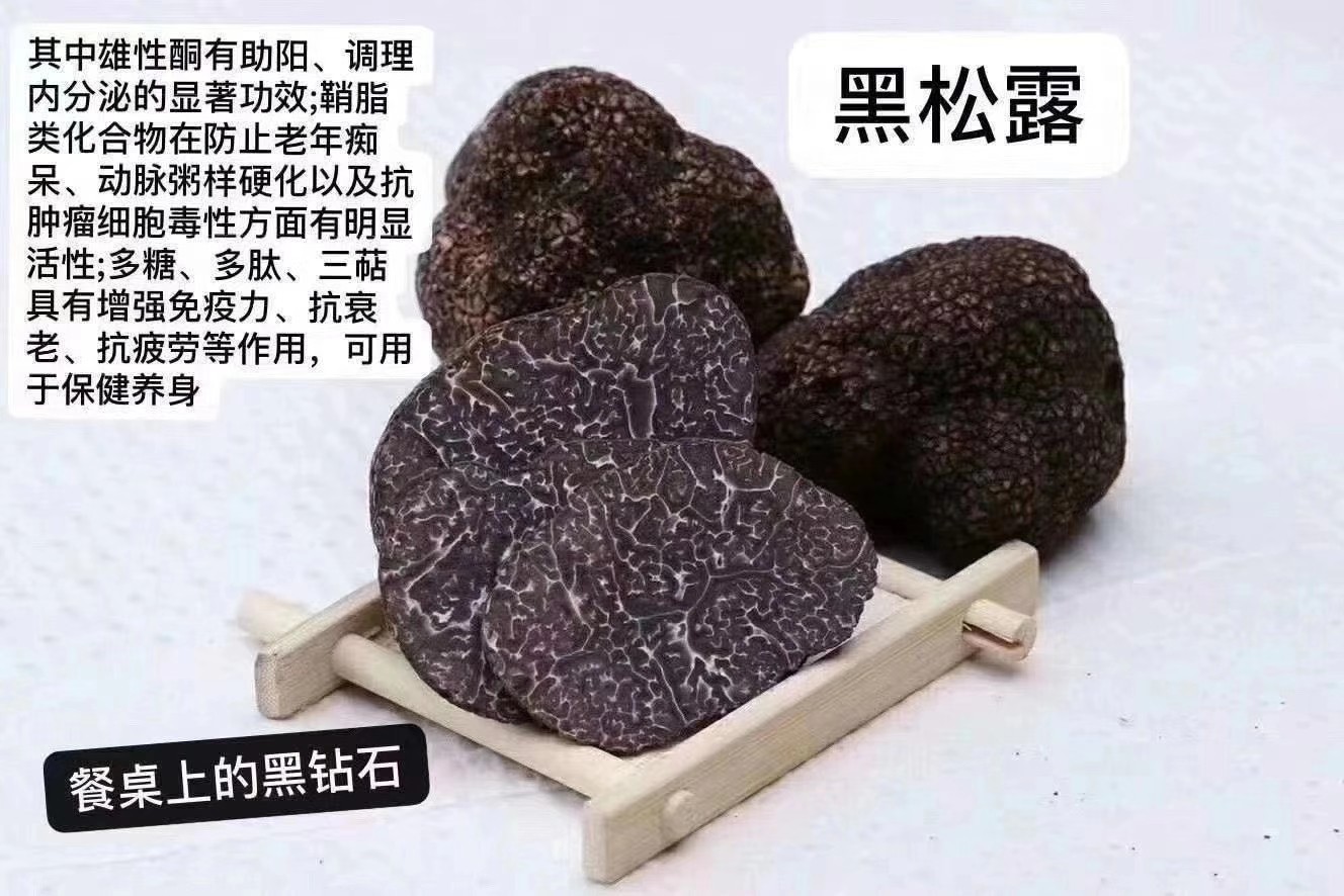 贡山新鲜黑松露