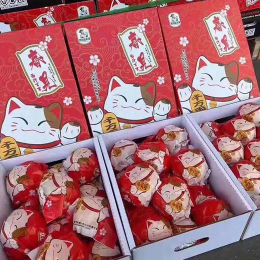 招财猫春见耙耙柑礼盒约85斤礼盒汁水丰盈脆嫩无渣