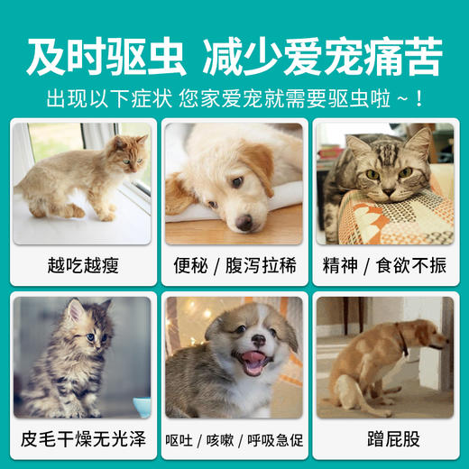 猫咪驱虫药芬苯达唑片长效驱虫全阶段驱杀犬猫通用