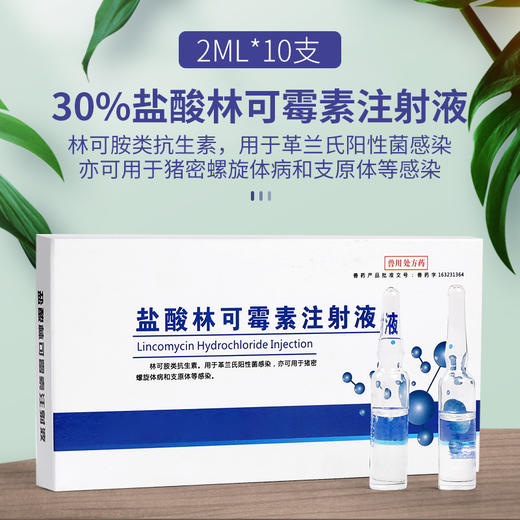 华畜30%盐酸林可霉素注射液 高烧咳嗽喘肠炎低烧 猪牛羊药