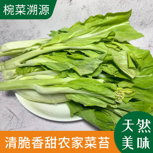 青菜苔农户汪爱珍约500g份