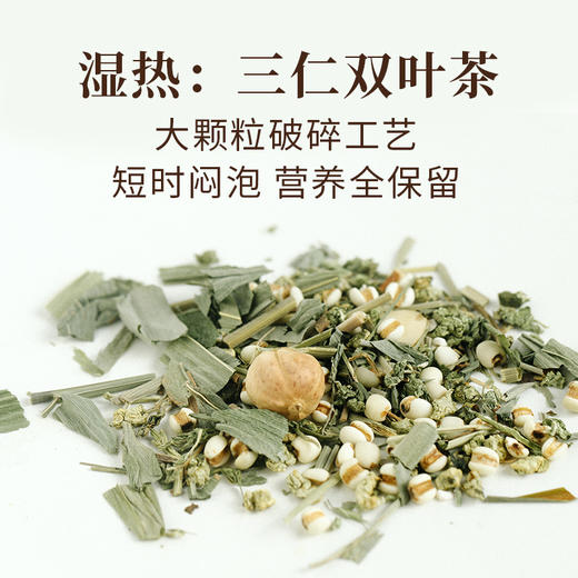 25 食味的初相 除湿茶 湿寒,湿热要分开 根据体质选适合你的茶 三子