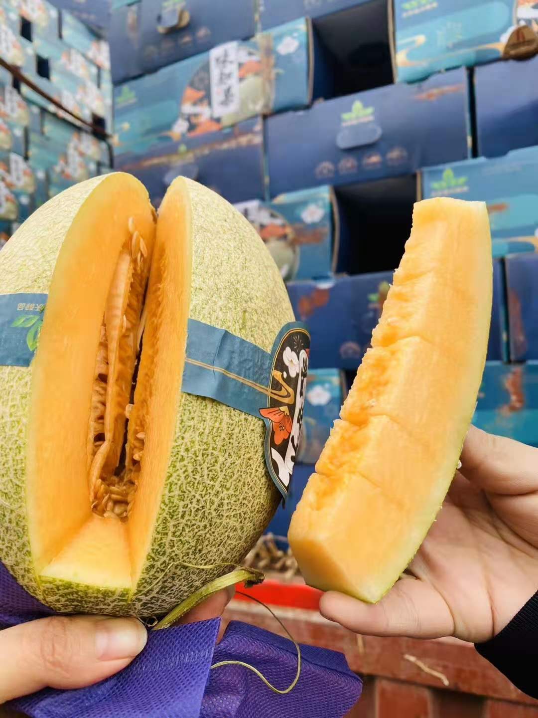 味知果蜜瓜约4枚箱包邮偏甜脆