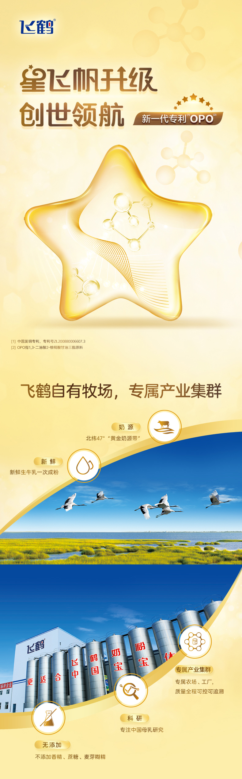 6罐加送同品300g中听飞鹤星飞帆卓睿较大婴儿2段配方奶粉