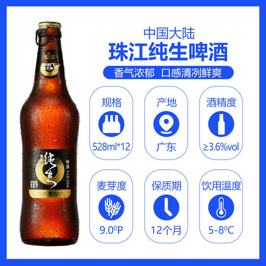 群粉专享价珠江纯生1997黑金啤酒528ml12