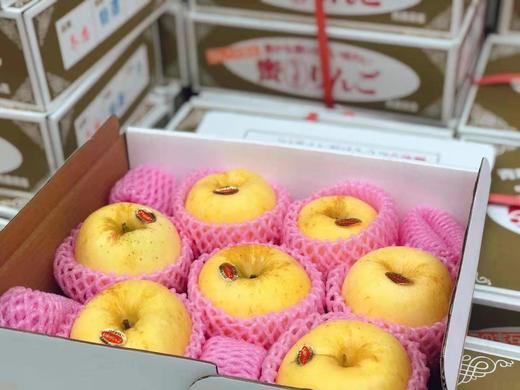 【冬恋苹果】冬季里的一款珍品,口感是松脆,香气十足