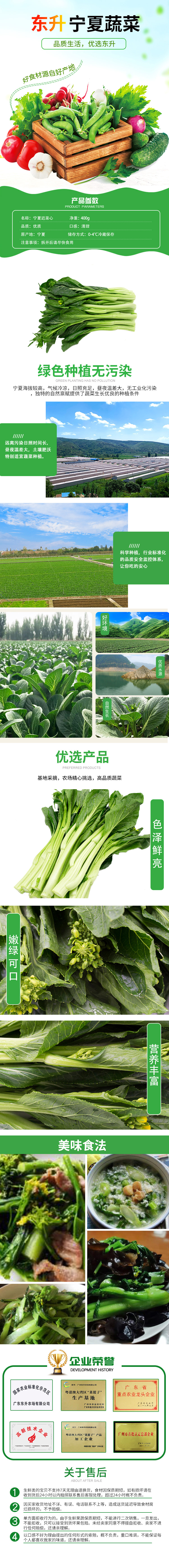 东升宁夏迟菜心菜心广州供港蔬菜新鲜配送400g