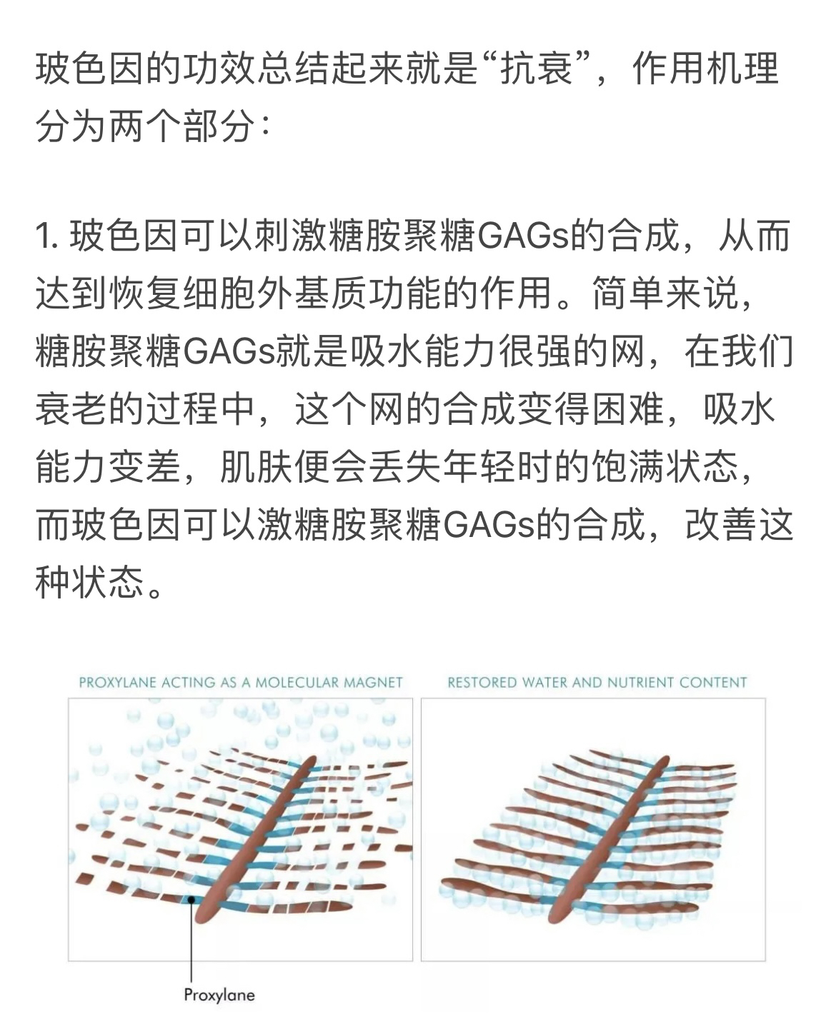 买五送一 玻色因原液 10ml精华液 同比黑绷带 滋润抗衰修护 抗皱紧致