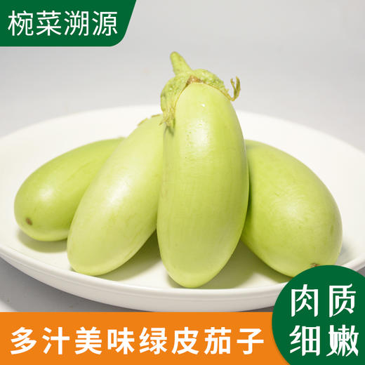 绿皮茄子农户钱立新约400500g份