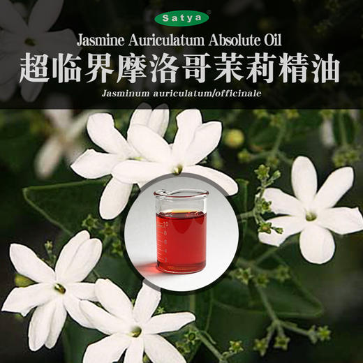 satya超临界摩洛哥茉莉精油5ml