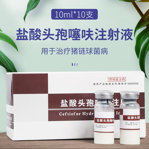 1g盐酸头孢噻呋注射液10ml10支猪链球菌广谱杀菌华畜