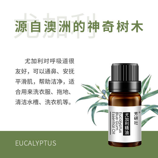 芳研社蓝胶尤加利蓝桉精油植物精油滋润香薰eucalyptusbluegum