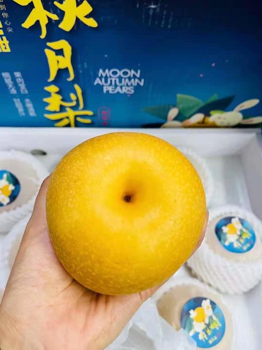 礼盒装#秋月梨(约9-10枚/箱)包邮 水木兰亭果业微创平台