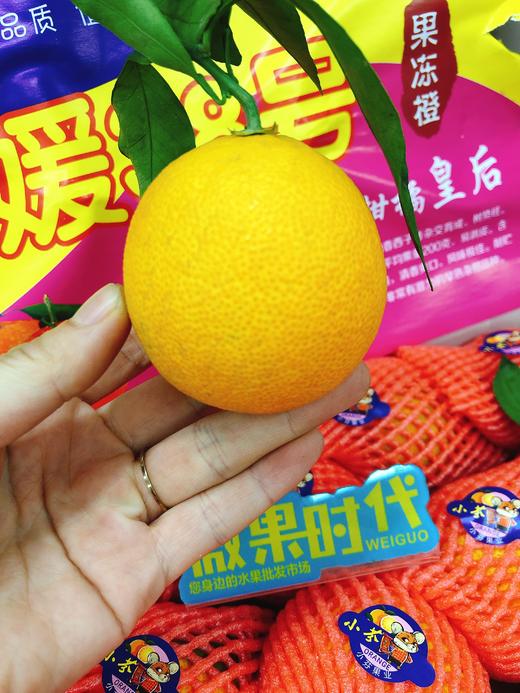 果冻橙一箱拼团