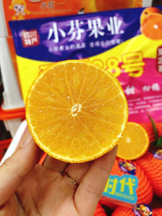 果冻橙一箱拼团