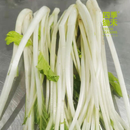 水白菜杆400g